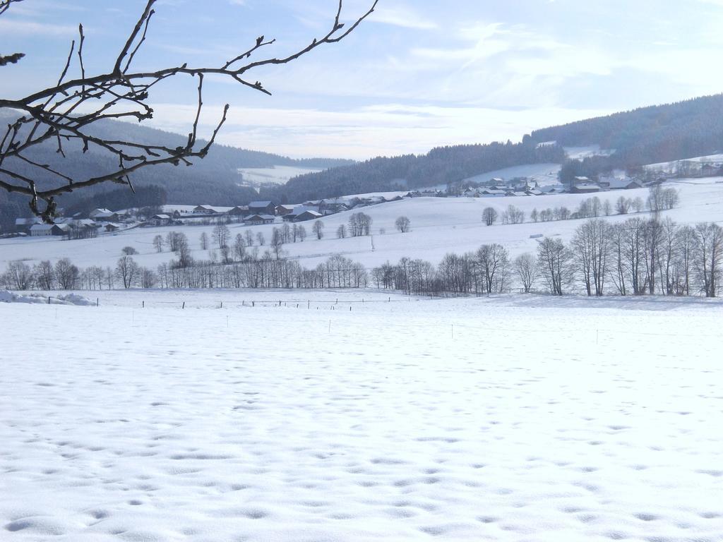 Gasthof-Pension-Kraus Achslach Luaran gambar