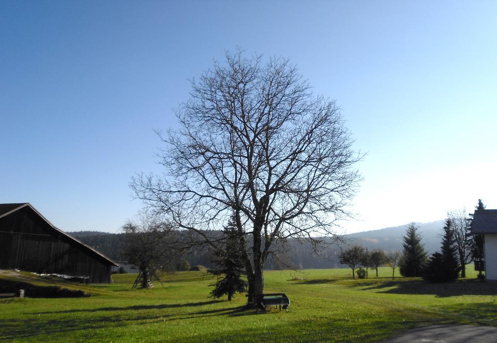 Gasthof-Pension-Kraus Achslach Luaran gambar