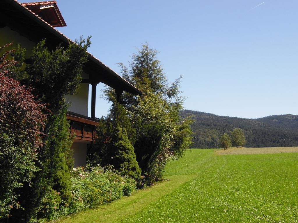 Gasthof-Pension-Kraus Achslach Luaran gambar