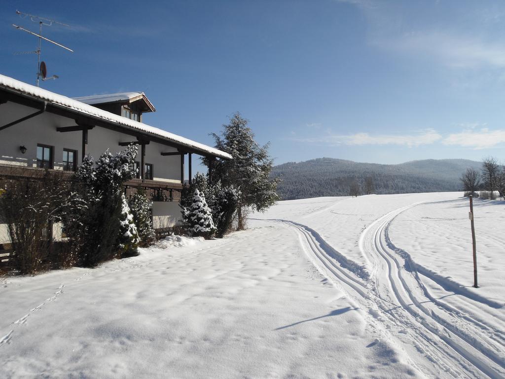 Gasthof-Pension-Kraus Achslach Luaran gambar