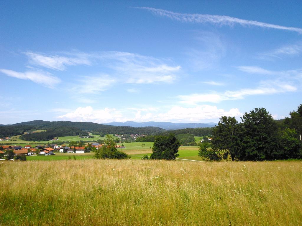 Gasthof-Pension-Kraus Achslach Luaran gambar