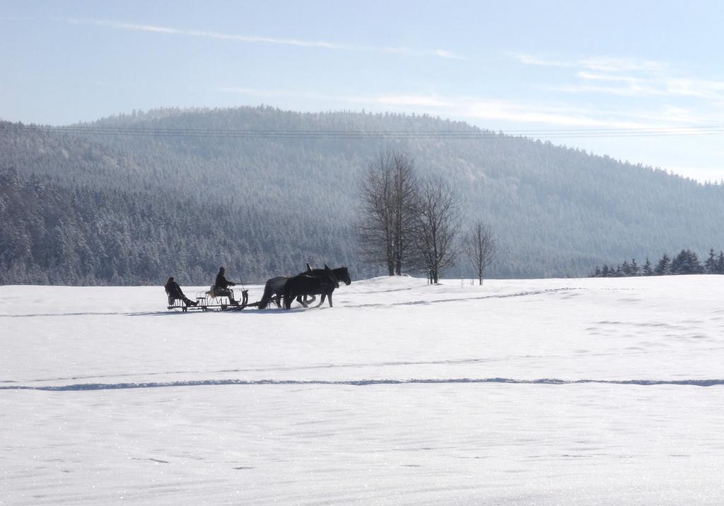 Gasthof-Pension-Kraus Achslach Luaran gambar
